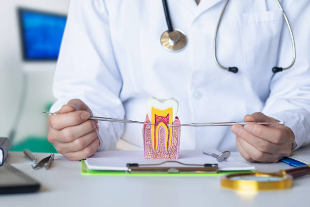 Best Dental Abscess Treatment in Dixmoor, IL